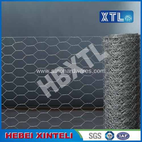 Chicken Wire Mesh for Plastering